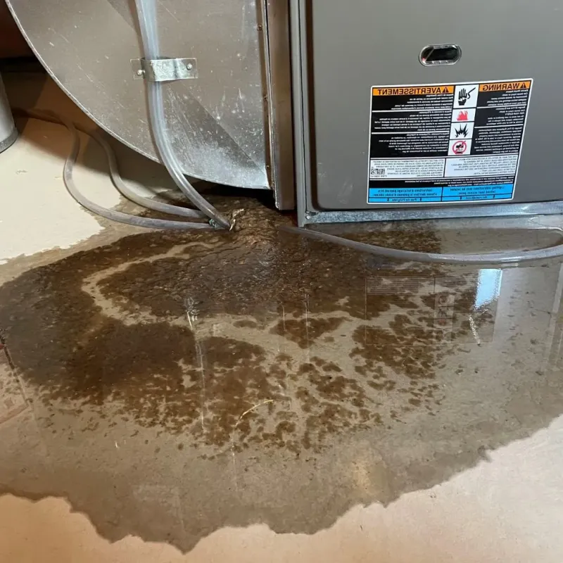 Pipe Burst and Leak Restoration in McMinnville, TN