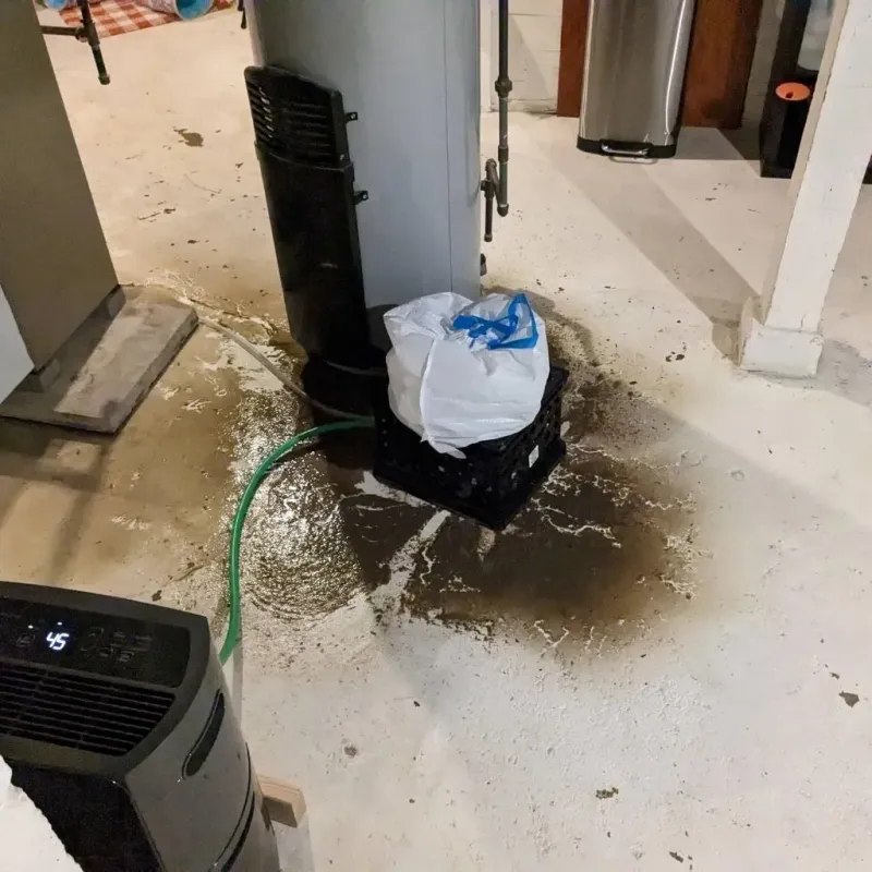 Sewage Backup Cleanup Service in McMinnville, TN